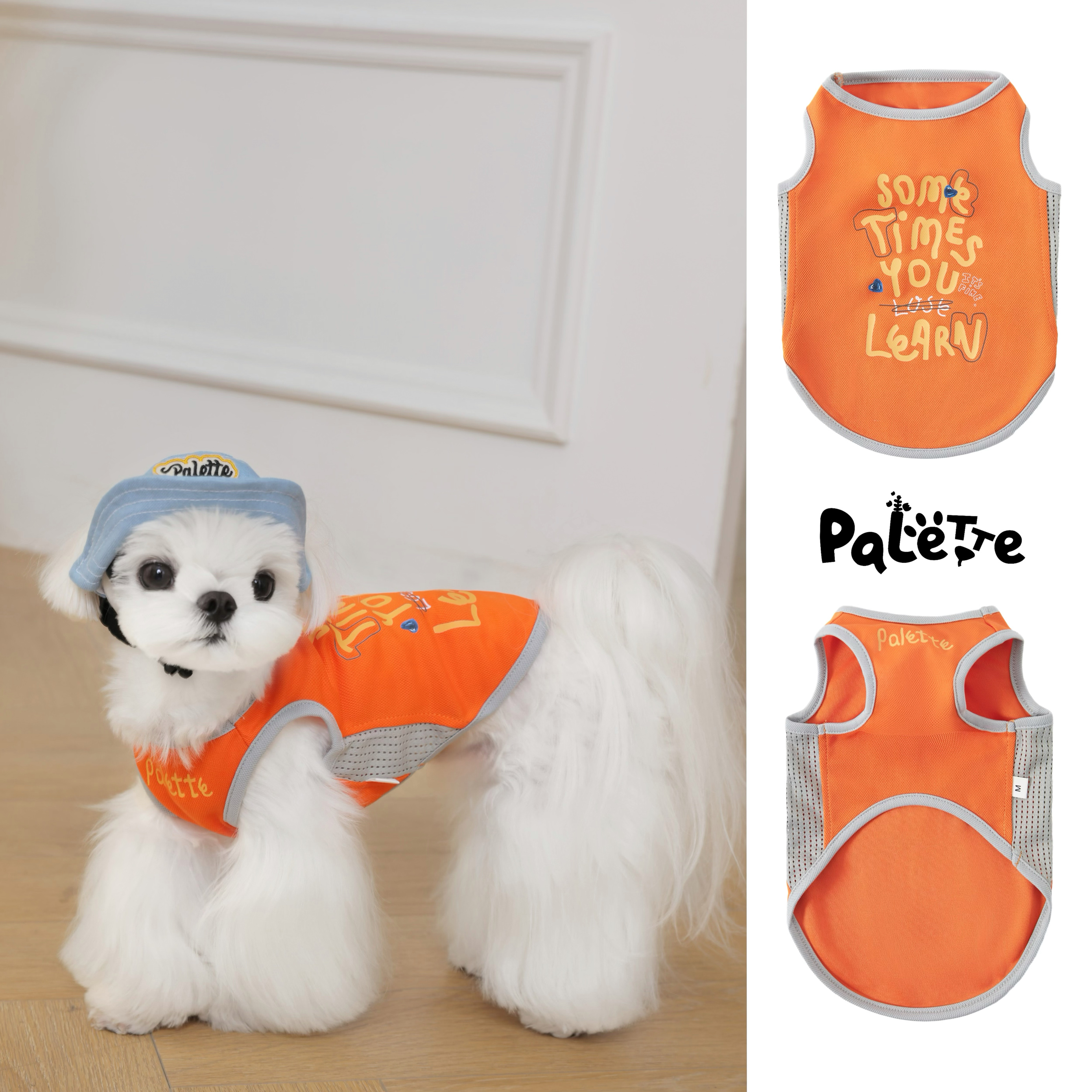 PalettePet春夏宠物服装猫咪狗狗网红橙灰拼色涂鸦户外凉凉速干衣