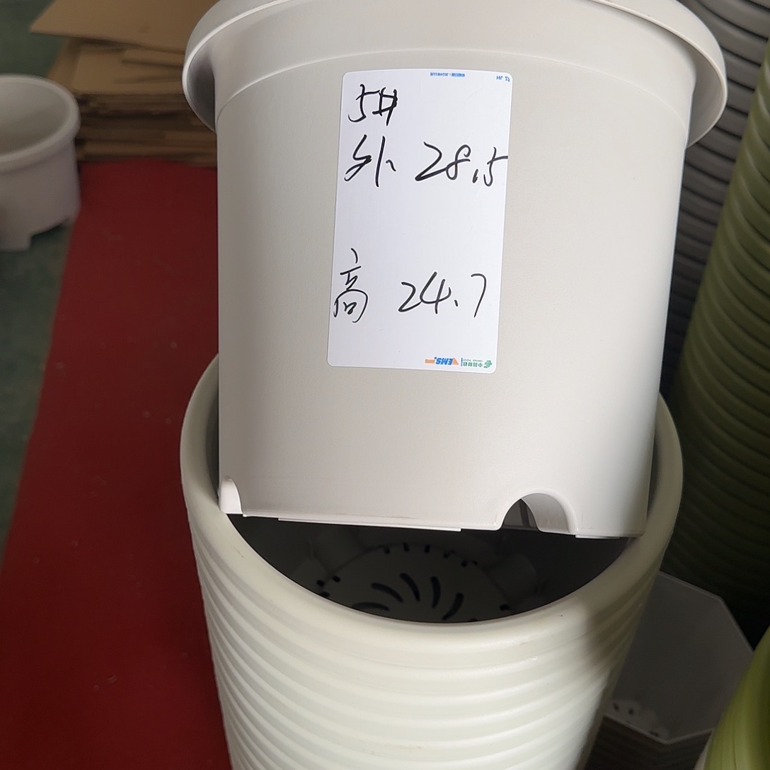 树脂四季5号无托6个灰白微瑕