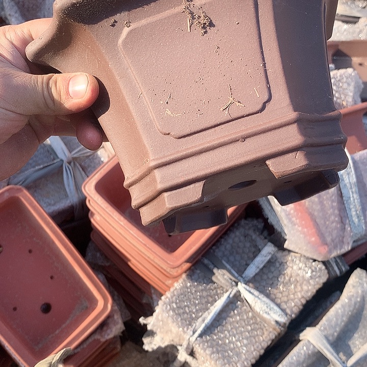 紫砂哈哈真的是太给力