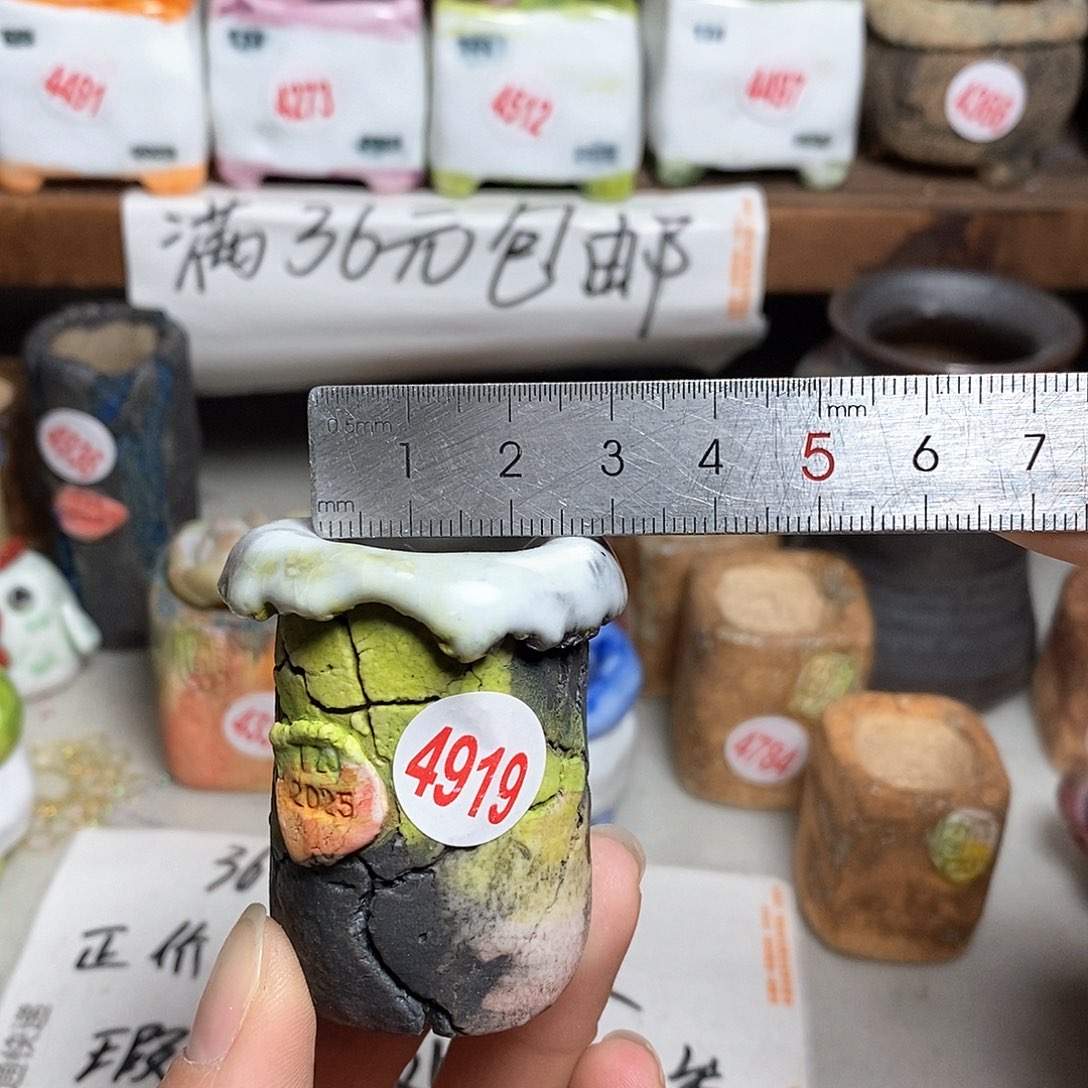 红陶拍5送一个小