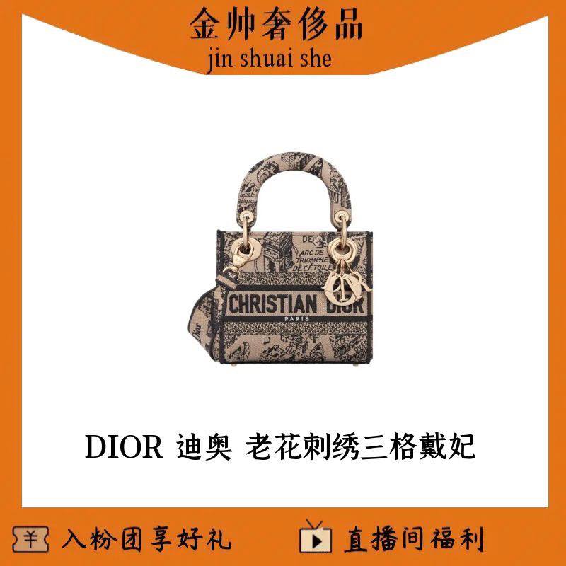 99新 DIOR/迪奥 老花/刺绣/巴黎地图系列/三格戴妃/单肩包/B6250