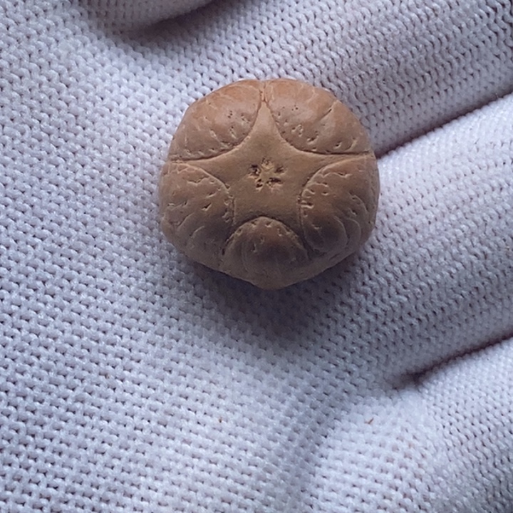 吊坠凤眼菩提五星19mm打孔不退换