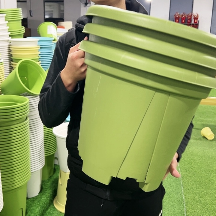 清仓青山口40高34果绿色3只无托