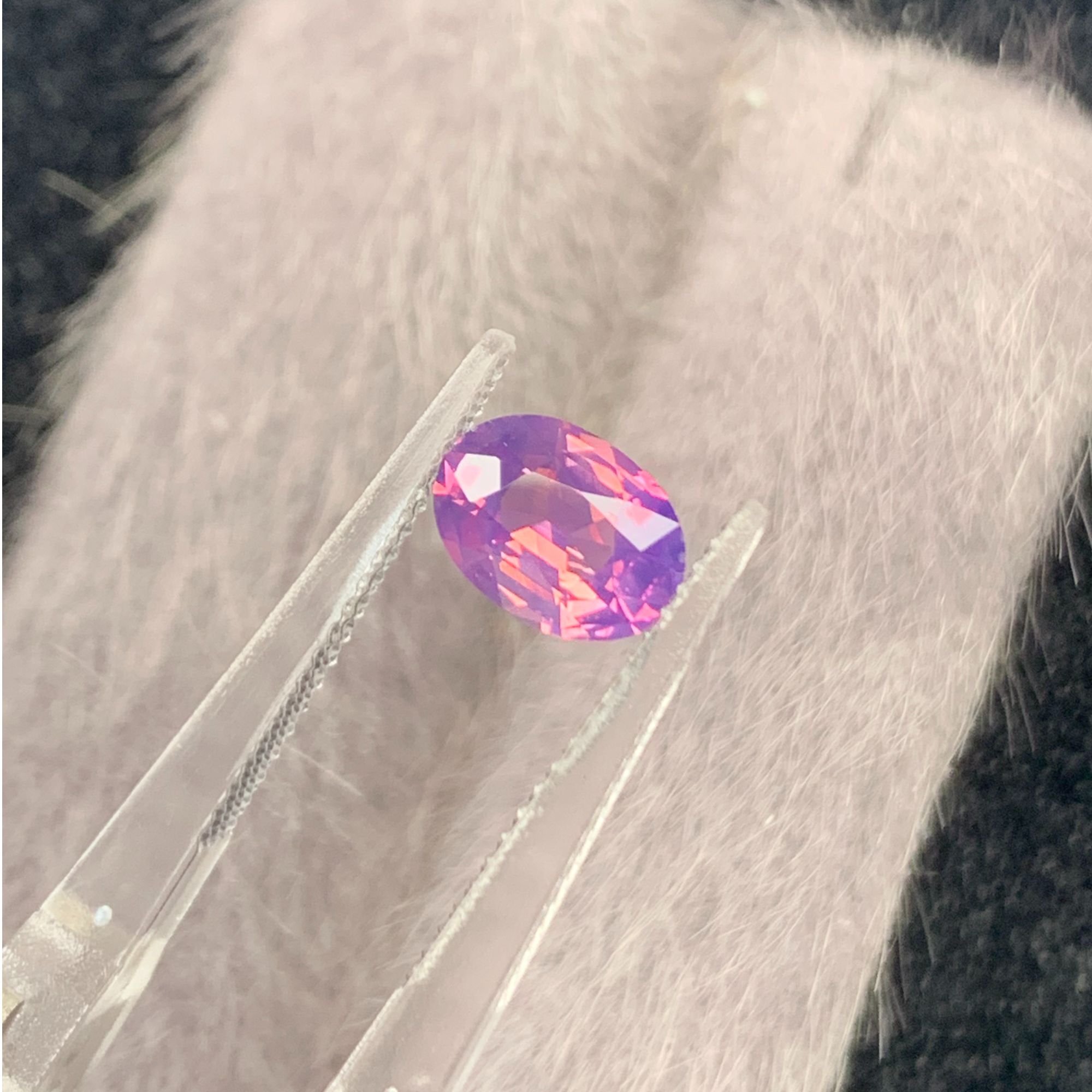 天然无烧艳紫罗兰蓝宝石1.51ct（0701）