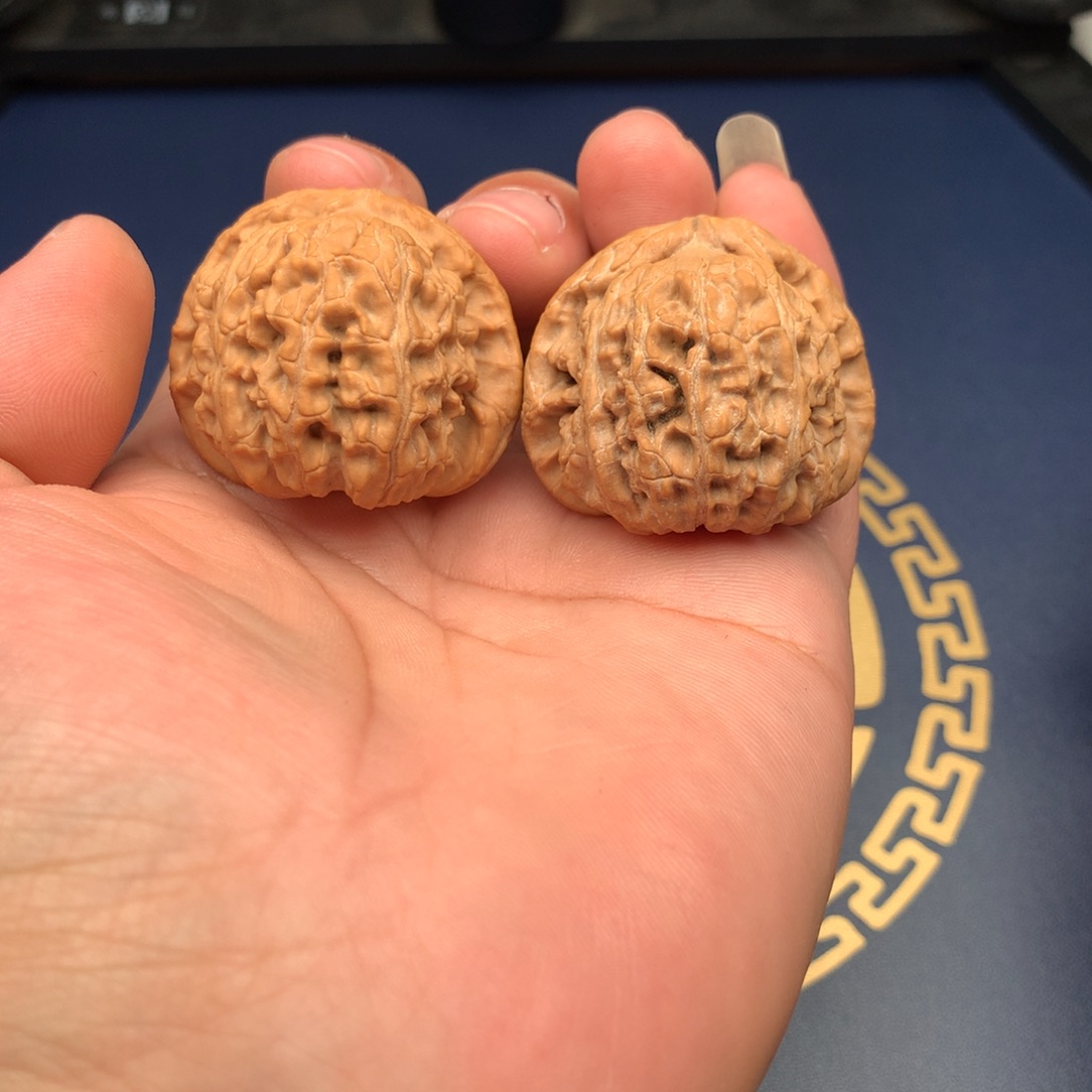 文玩核桃把件39白狮子39