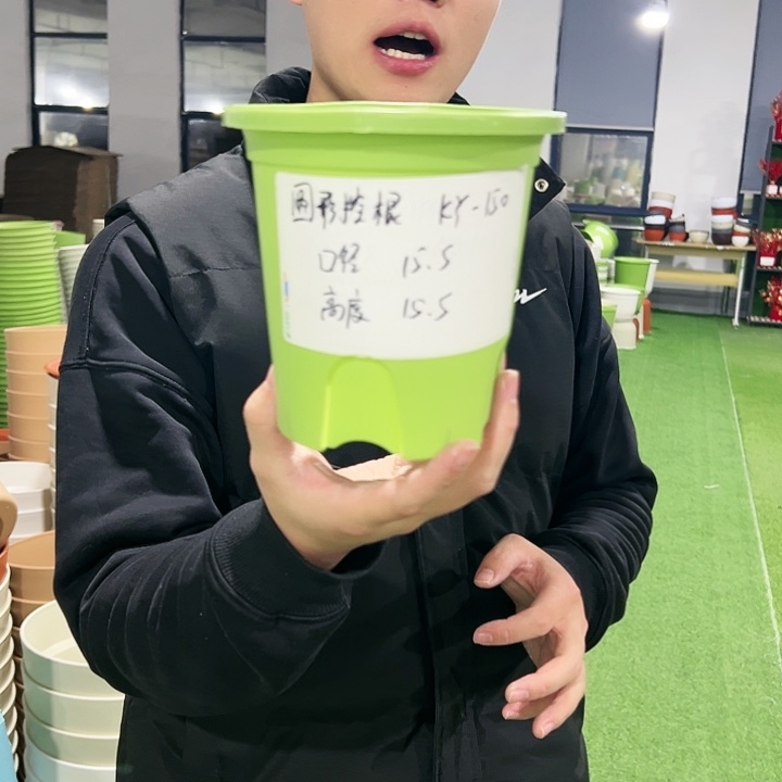 正品圆控口15高15果绿色10只无托