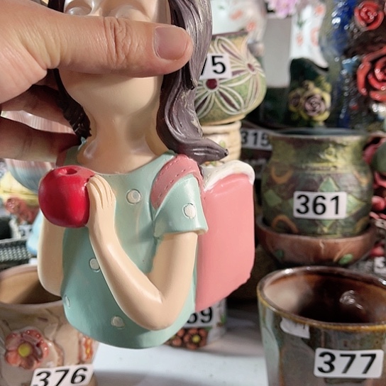 红陶多肉植物花盆