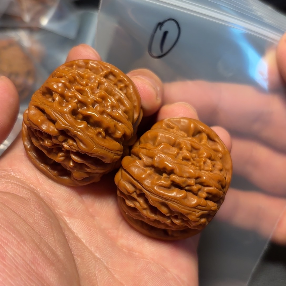 核桃其他四座楼的