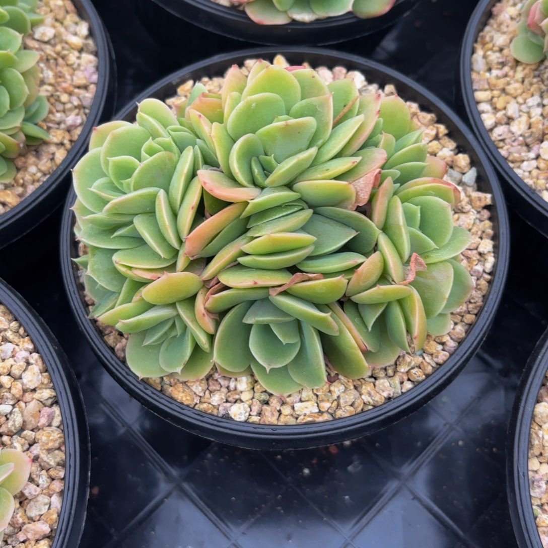 Hhkkkjjjjhhhhhhhhhjjjjjjjjjjkk