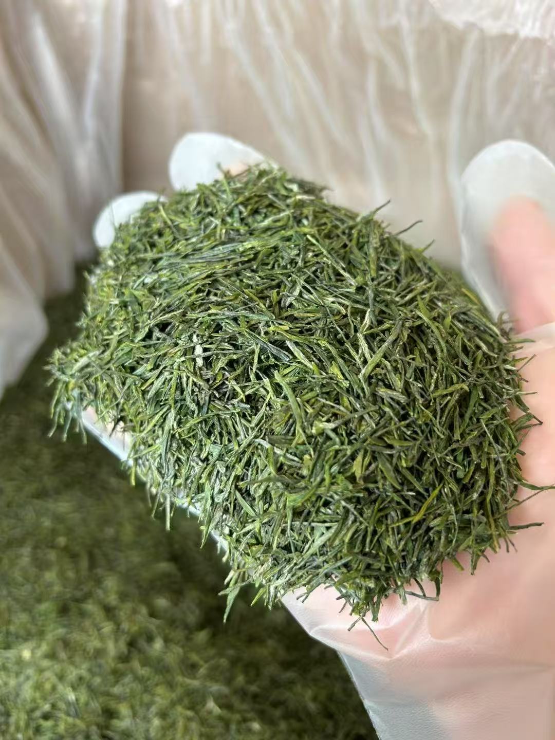 JIYU/极语明前特级恩施玉露2025富硒茶龙井43号鲜爽回甜蒸青绿茶