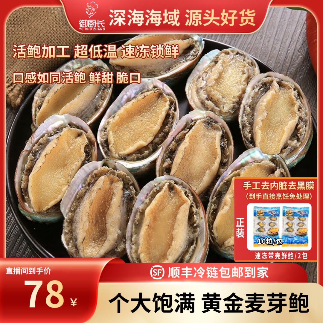 【中秋好礼提前购】鲜鲍鱼-带壳鲜鲍10只装约160g*2袋烹饪煲汤爆炒