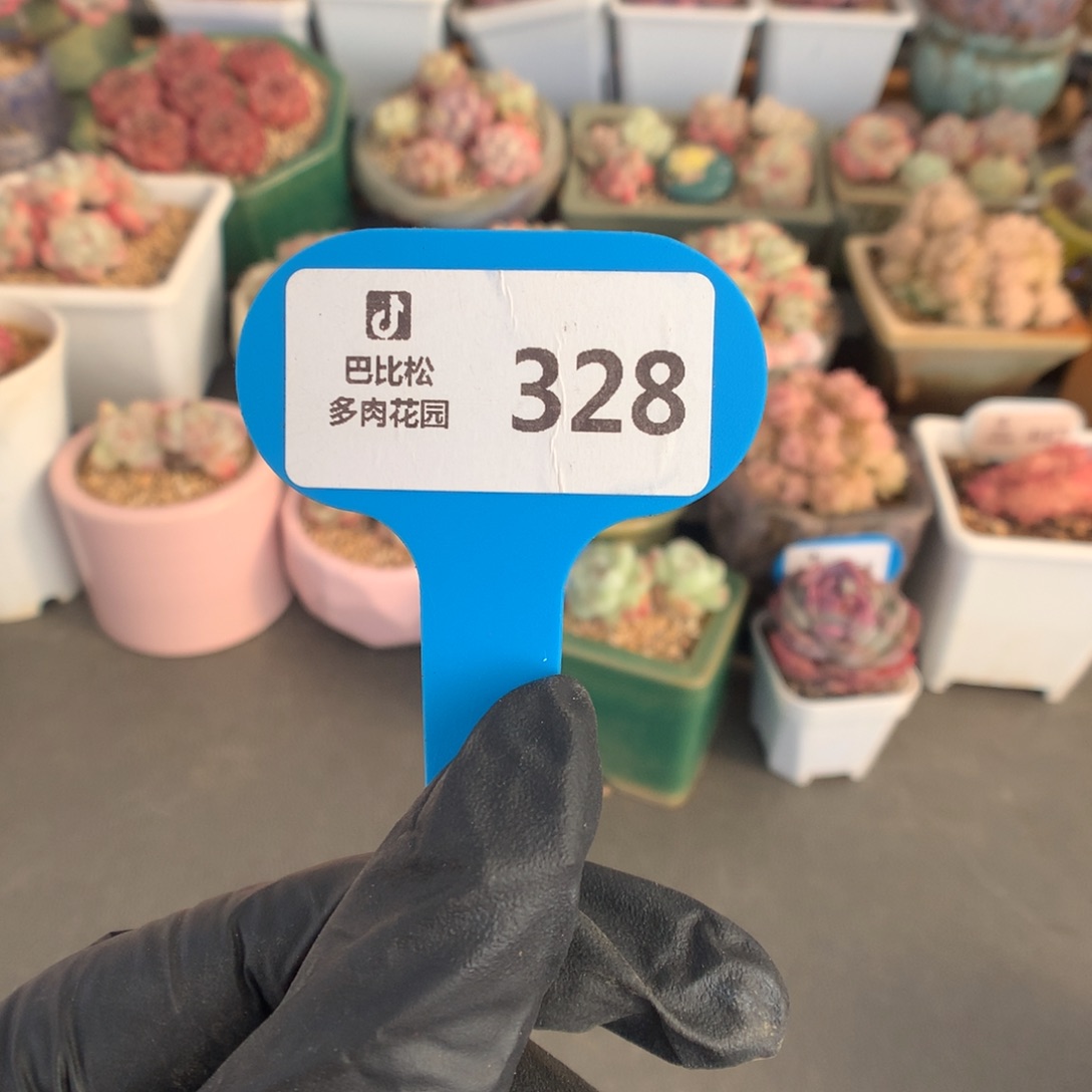 菁***菁328 六个小盆扣除20余178