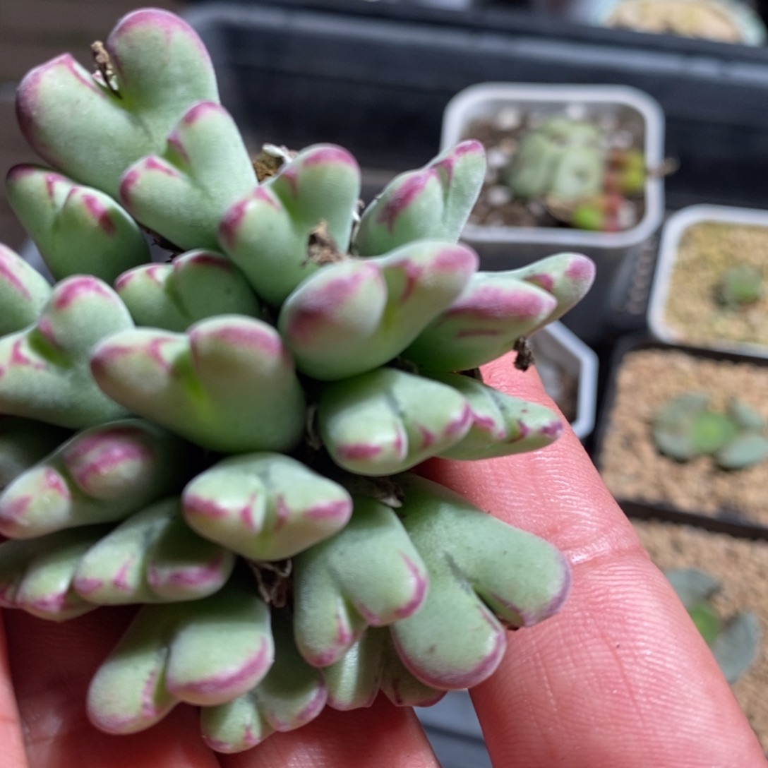 13151一个一个一个