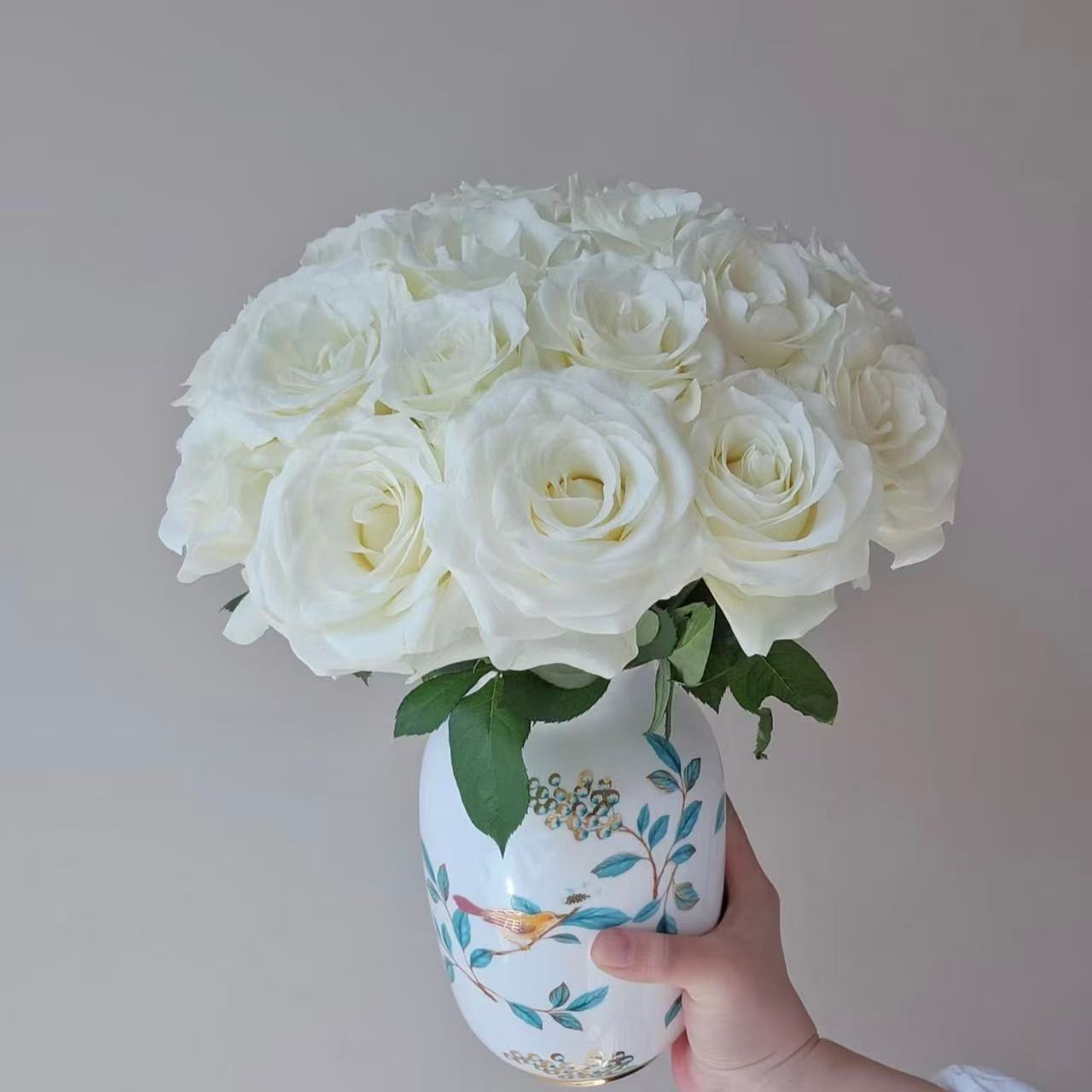 20枝骄傲单头玫瑰（2单送配草3单送花瓶）云南鲜花基地直发