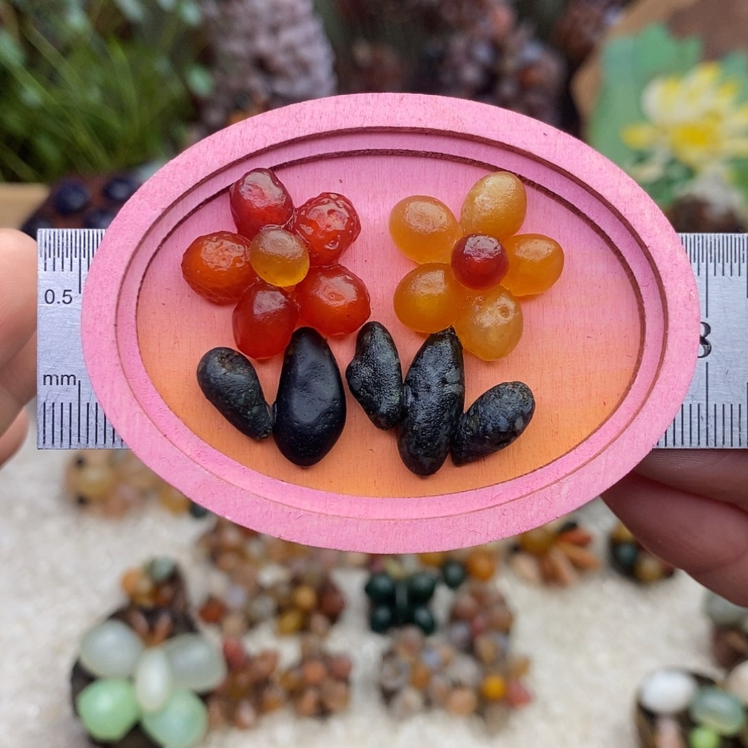 木石院子花朵冰箱贴