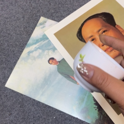 瓷片景德镇陶瓷学院