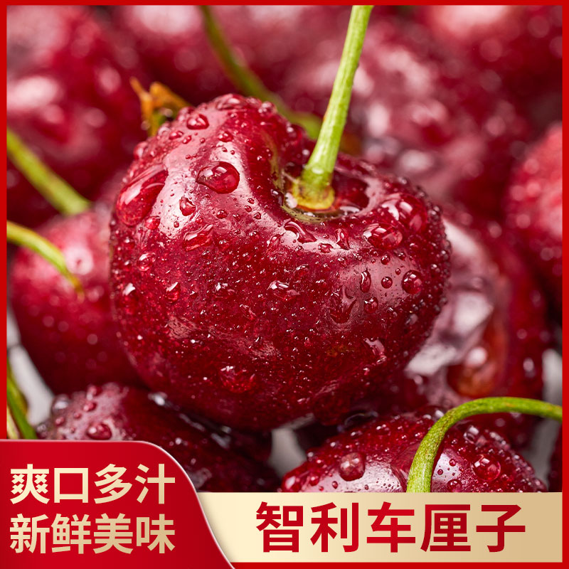 【原箱5斤】智利进口海运车厘子3JD/4JD级-5斤装-内附果径卡-Z