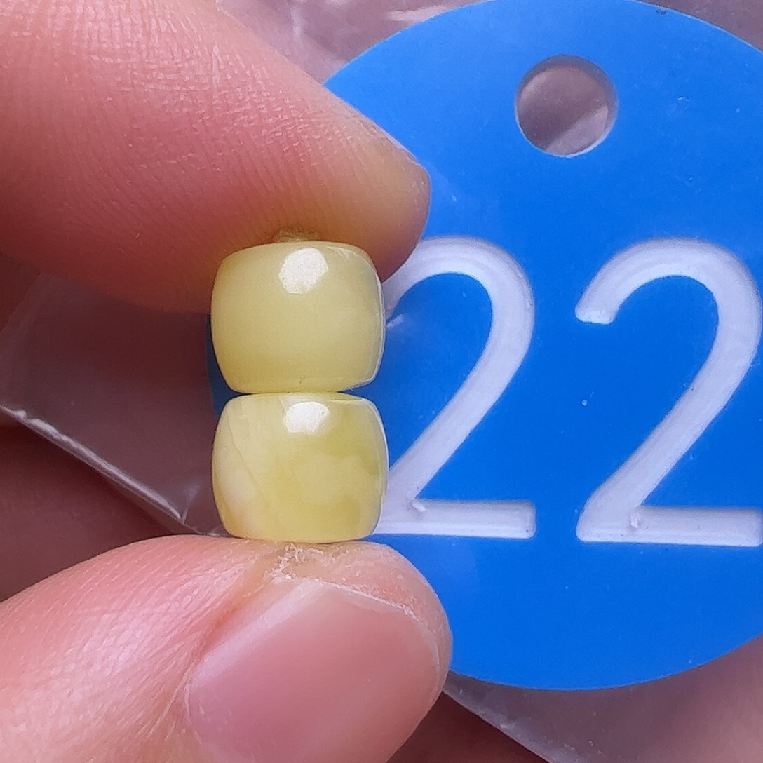 未镶嵌蜜蜡裸石7.3m m