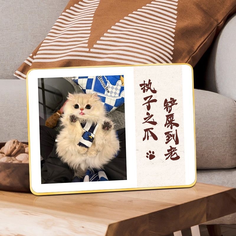 免费冲洗宠物照片做成相框摆台纪念家居相册摆件