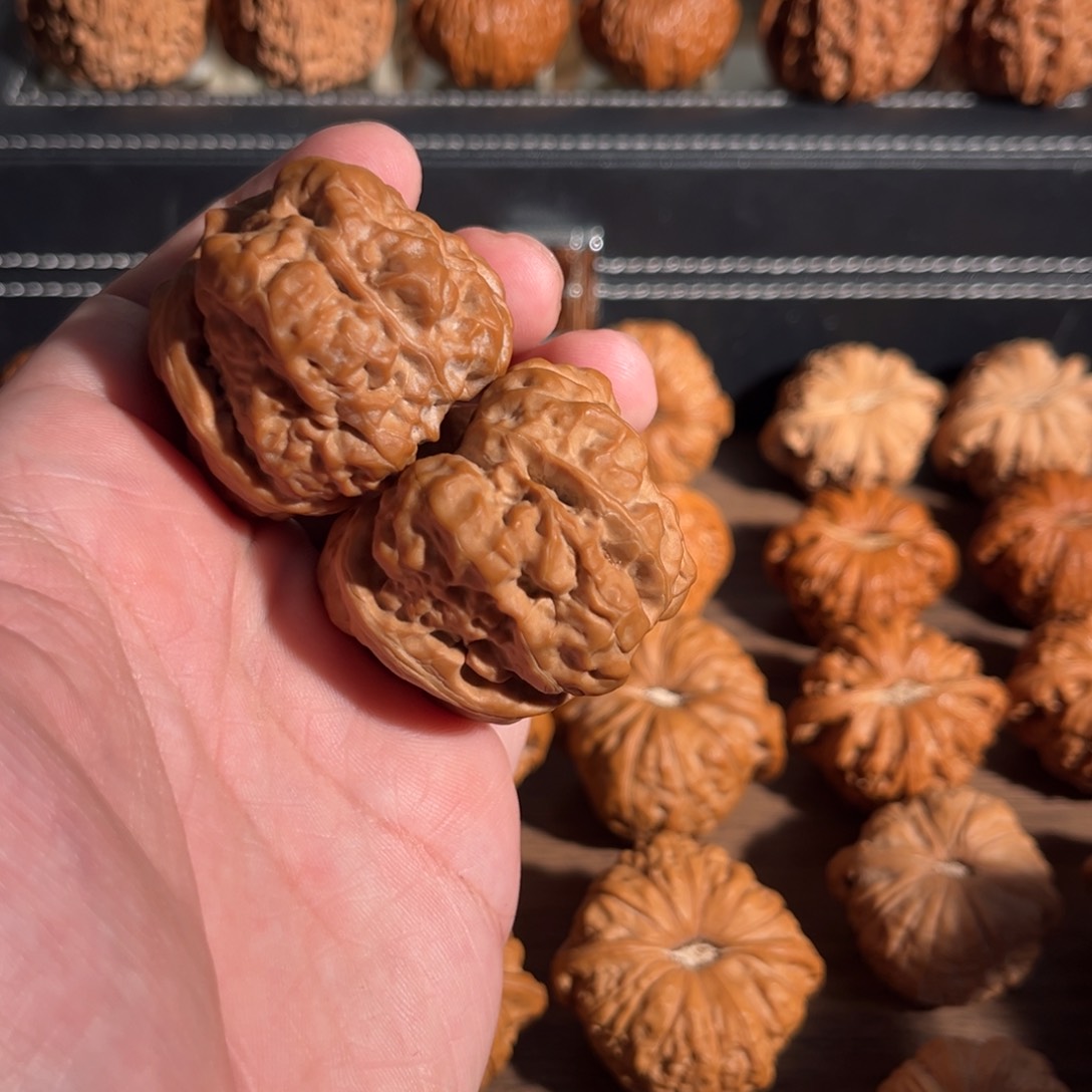 手串/手链核桃睡****་45全品蛤蟆