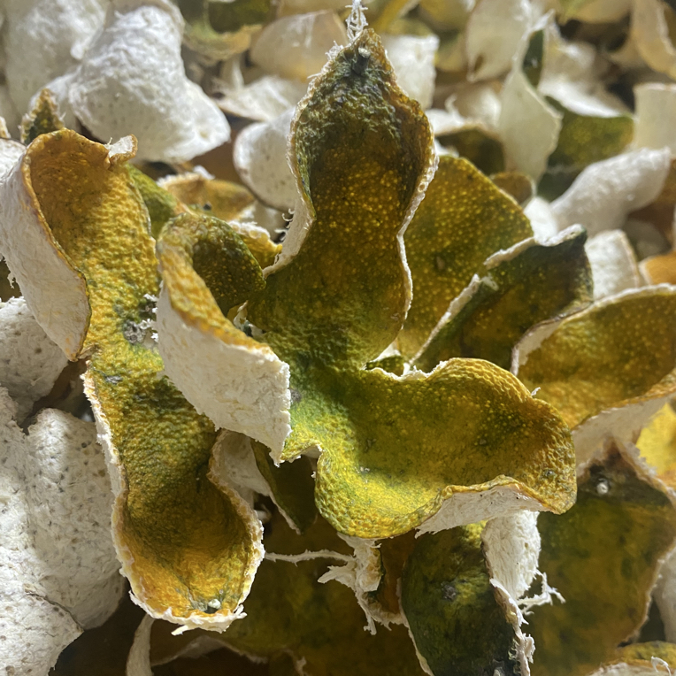 东甲牛肶围(下)柏灵6年树龄细种油身柑二红皮2025年11月16日