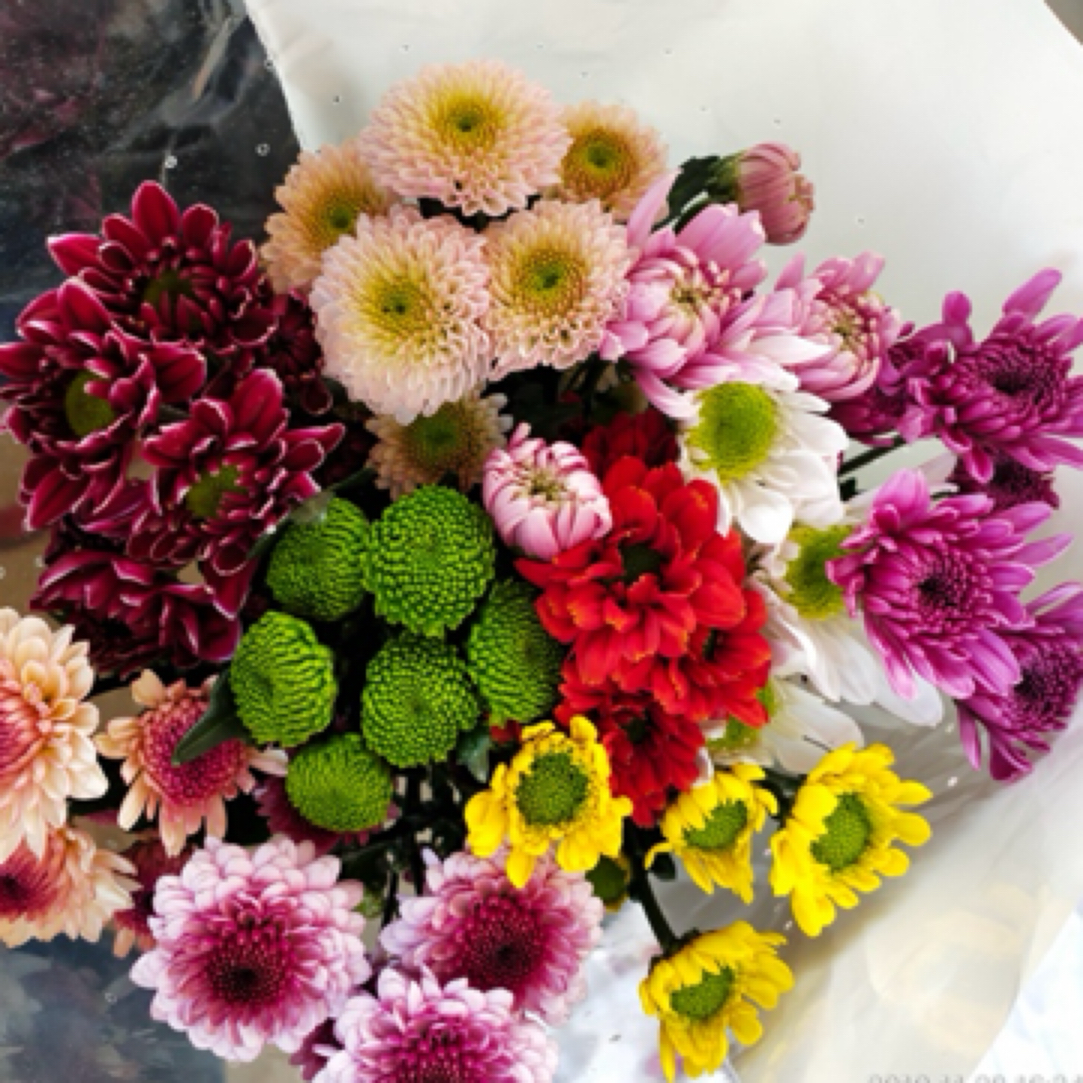 【伊春巧遇花店】多色小雏菊5支全场任意两单免运费