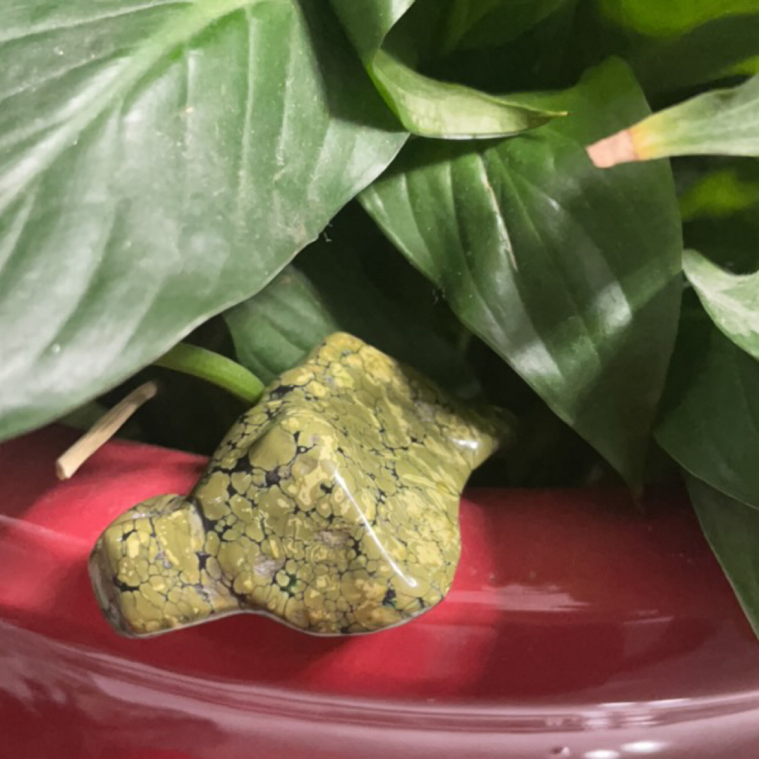 文玩盆景石头网纹绿松