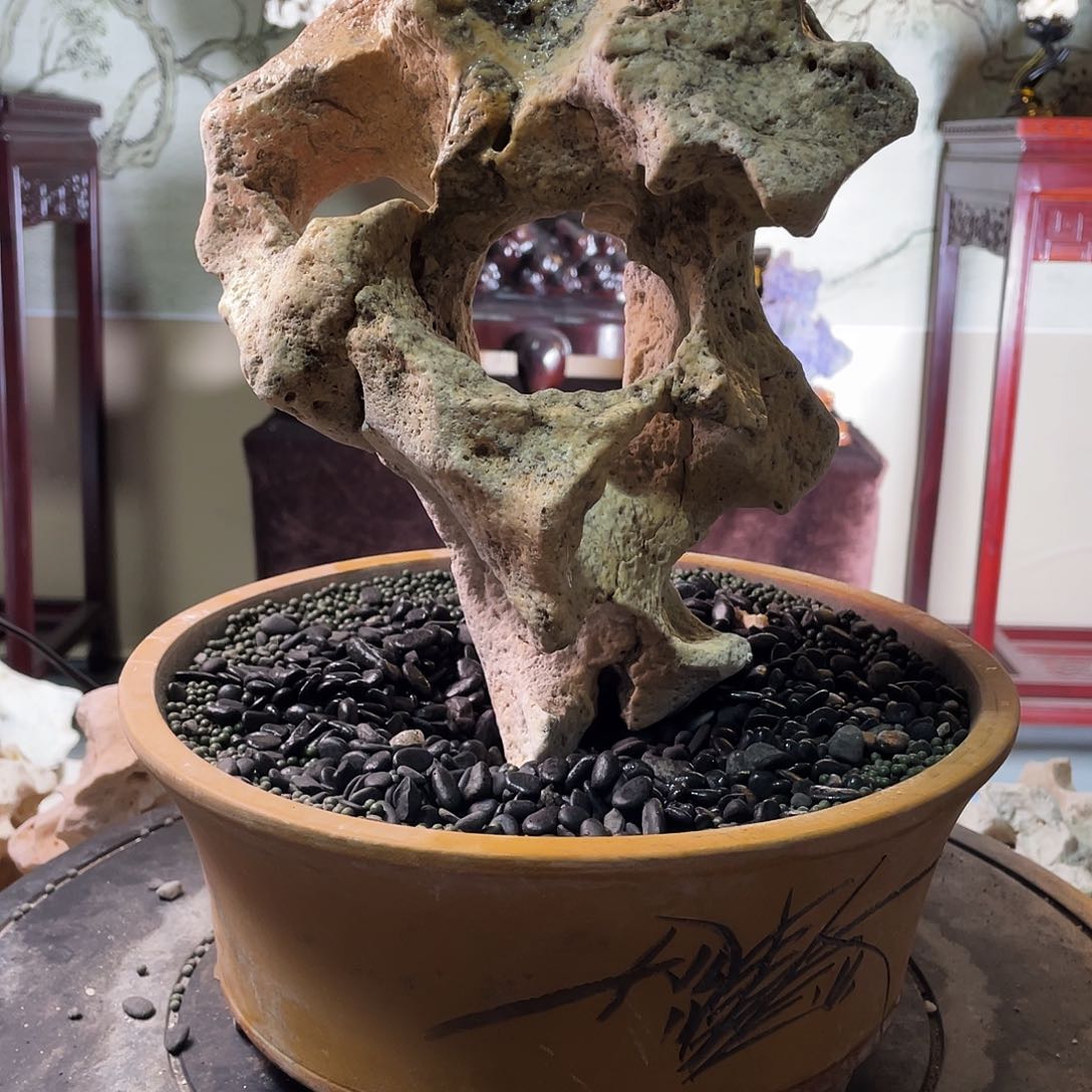 石材学****）太湖石888