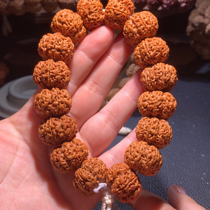 菩提籽类23+六瓣定制