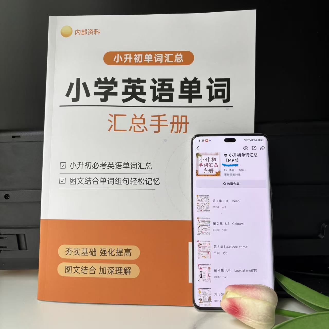 【配音频跟读】小学 3-6年级英语单词汇总彩印笔记本包含838个词汇