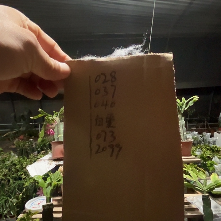 完全开放重办叶片六份