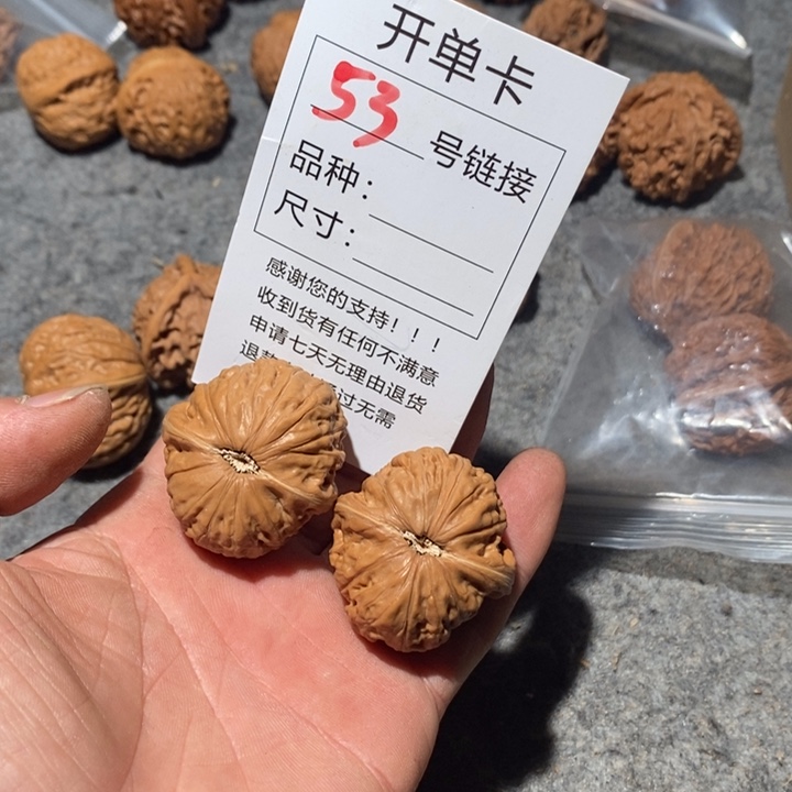 文玩核桃把件53咯摸摸哦哦哦哦