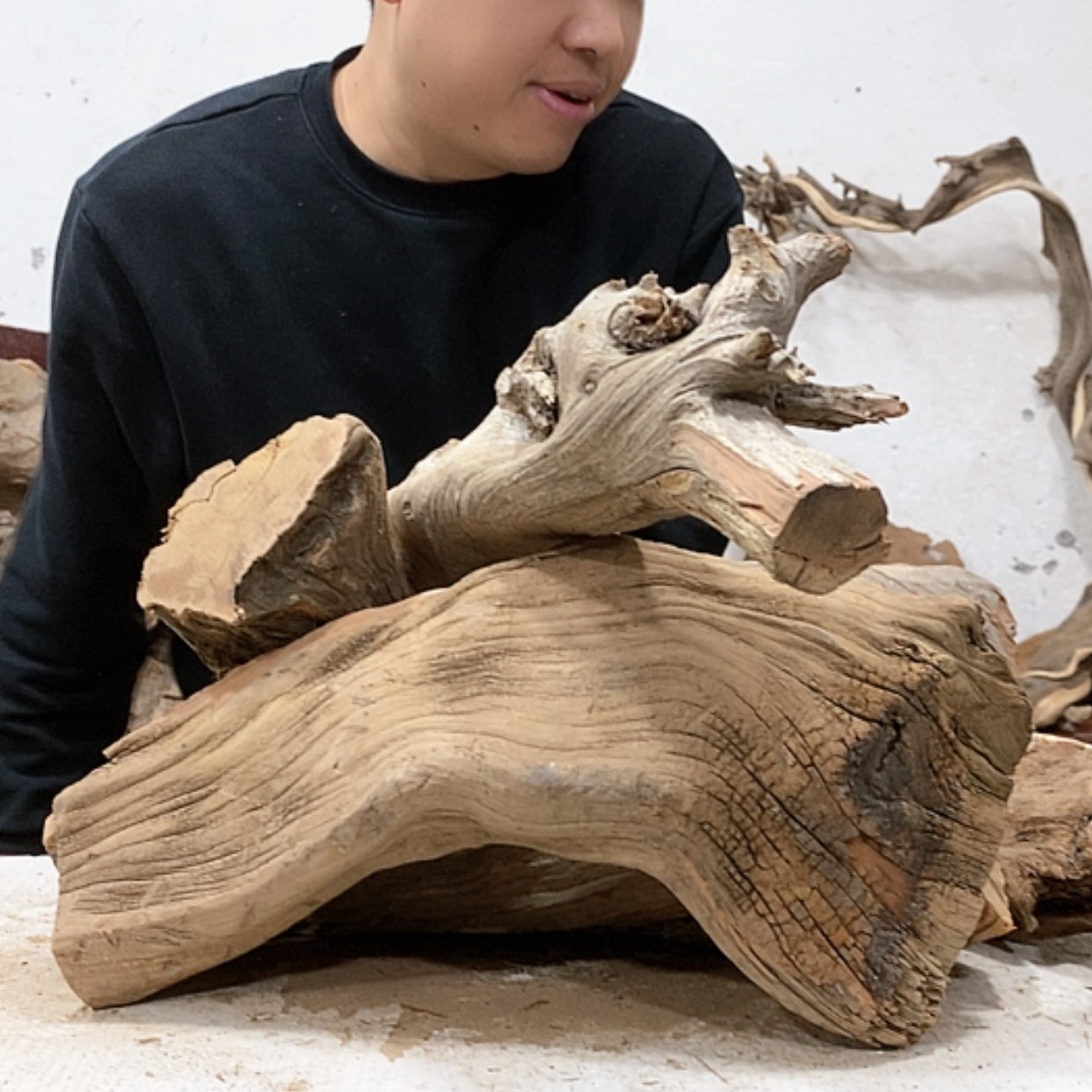 【闪购商品】柏木柏**材我们都是好孩子