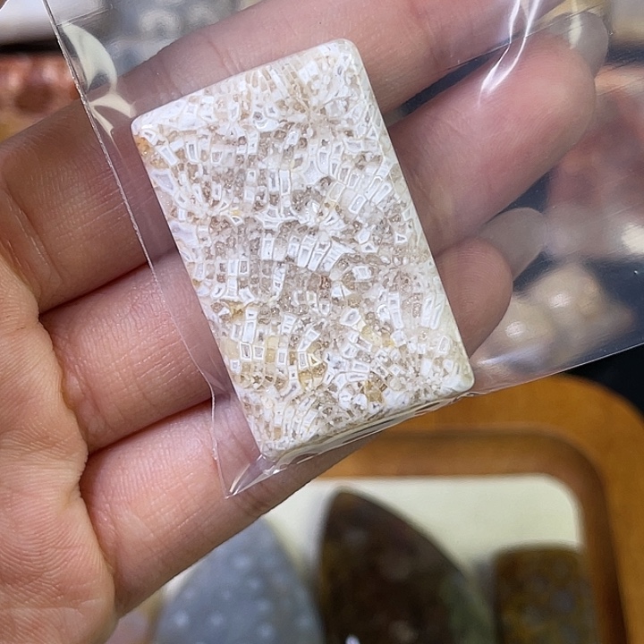 硅化珊瑚（珊瑚玉）珠宝金石合金?****?