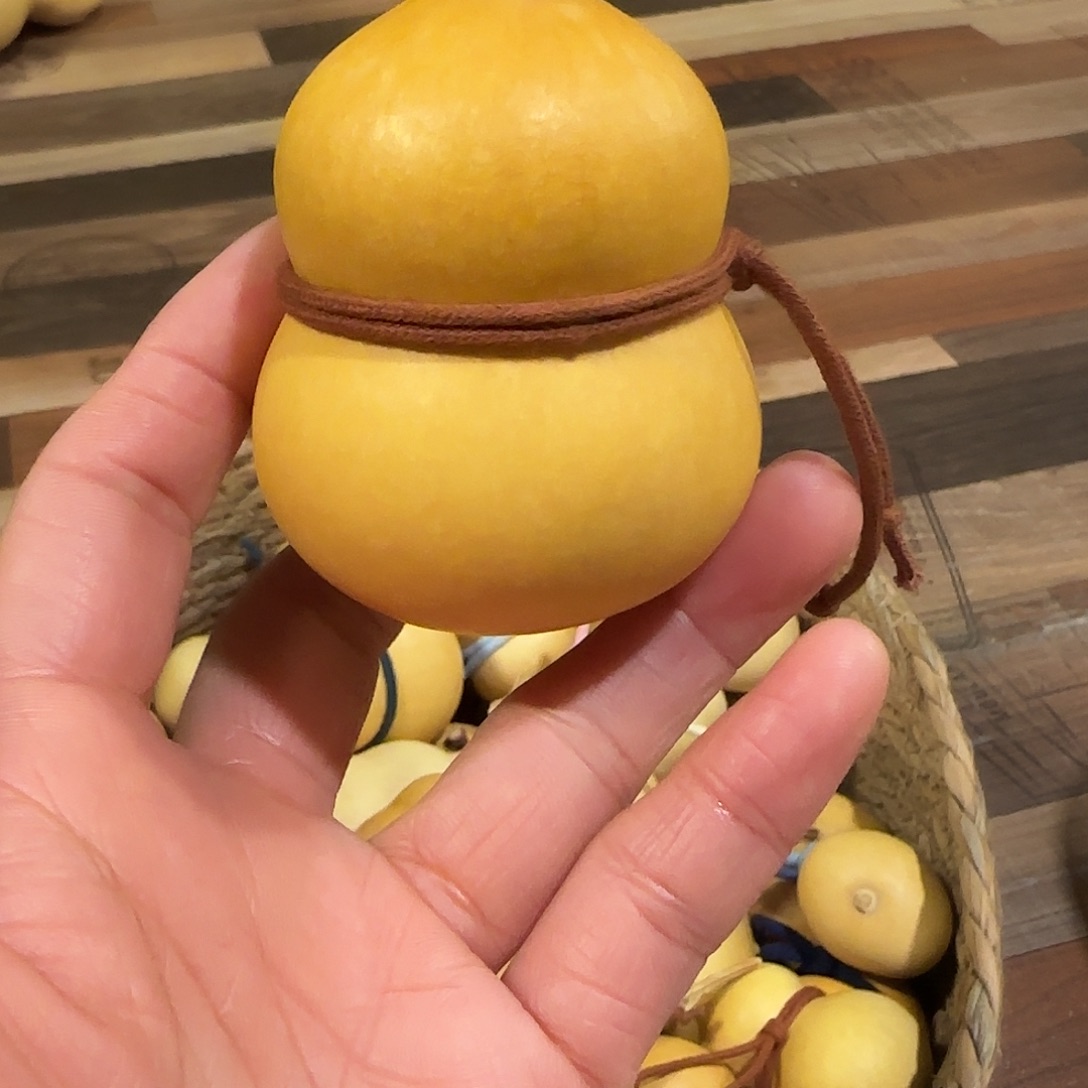 咯钢琴八宝来咯哦哦