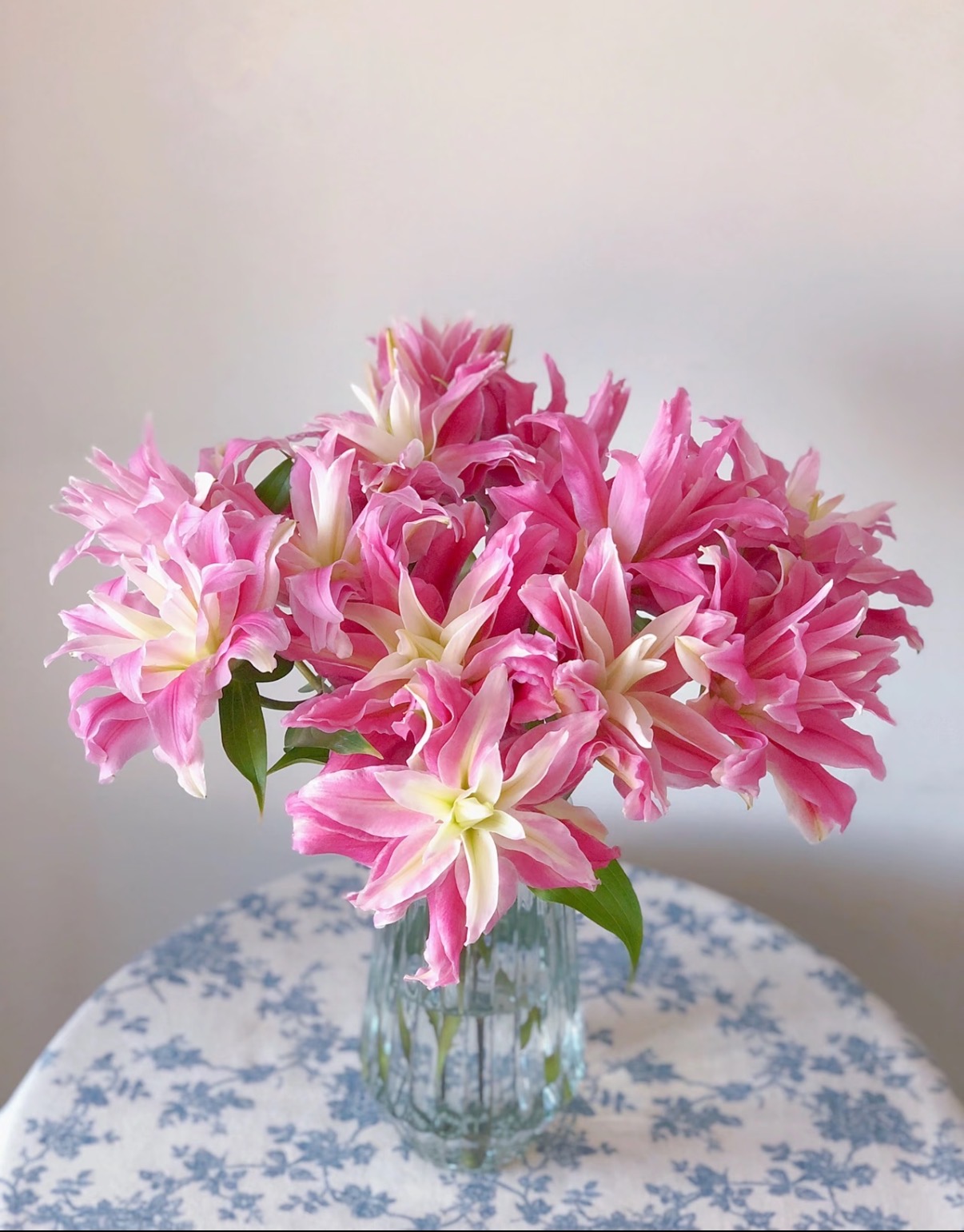 【港货大叔百合红丝带】1单顺丰冷链包邮 发货后不支持退款