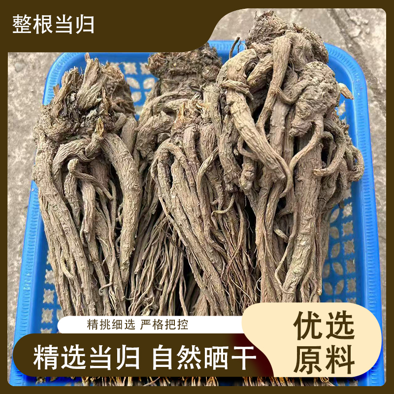 甘肃岷县当归，无硫无熏 道地产区直发