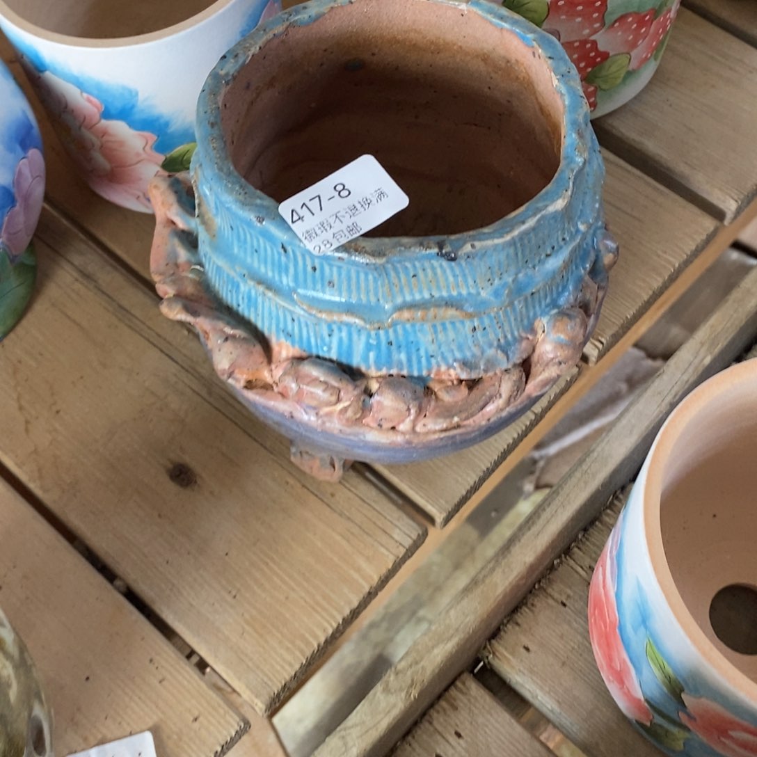 滋*8号多肉盆一个呀