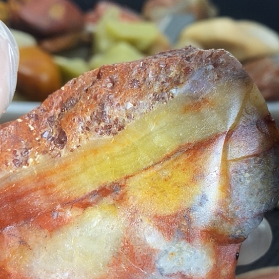 趙***真寿山石寿山品种石原石毛料