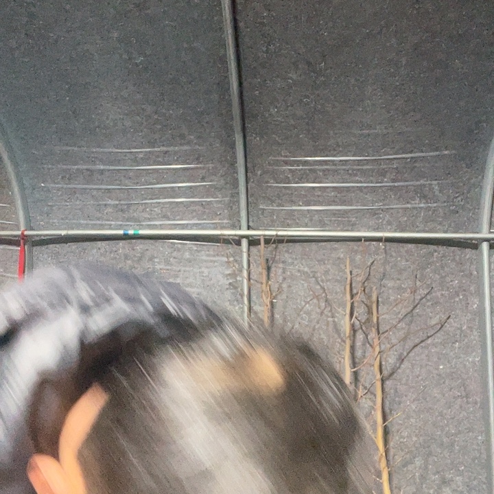 巣***家蜜罐一物一拍树枝