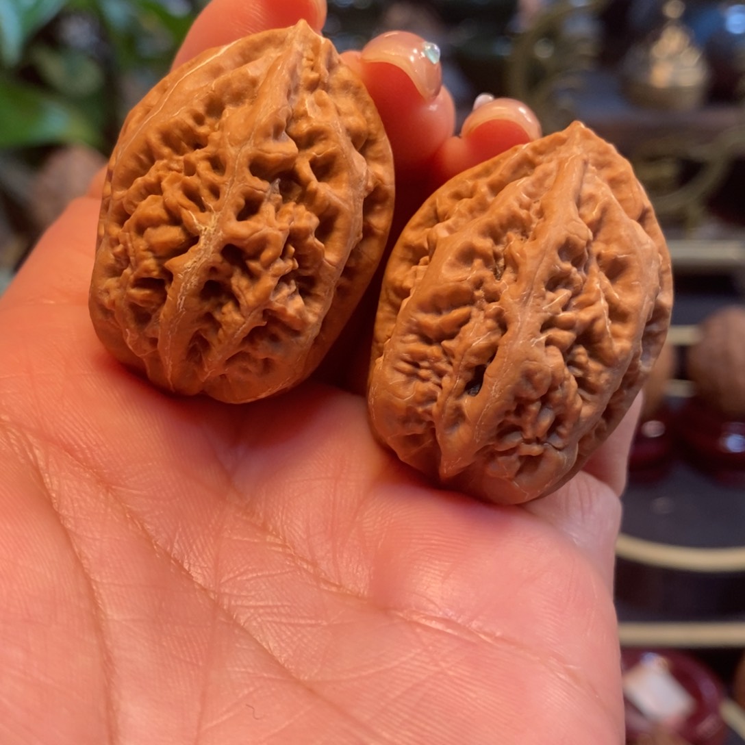 文玩核桃吊坠老树珊瑚纹34