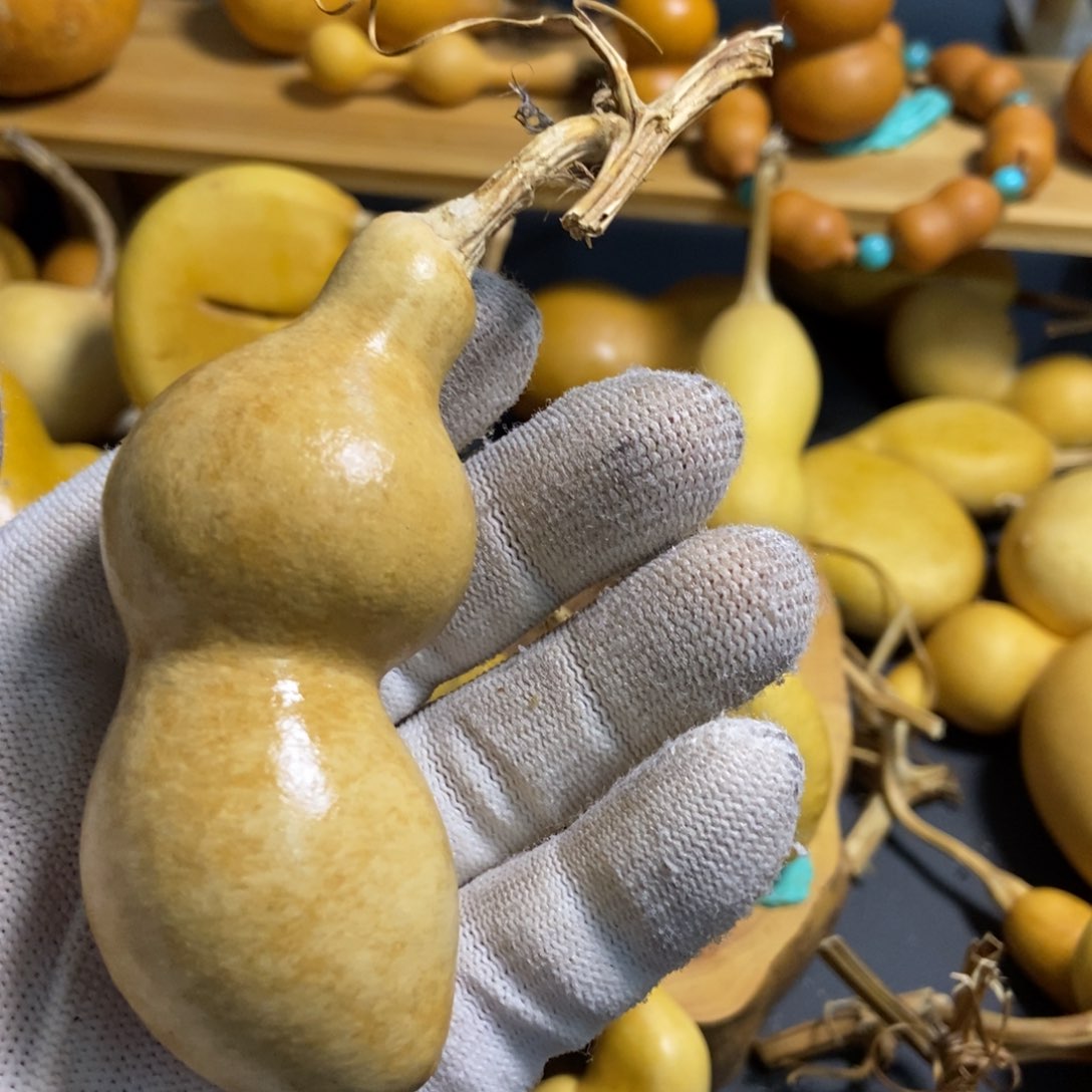 Z*葫芦葫芦真的好