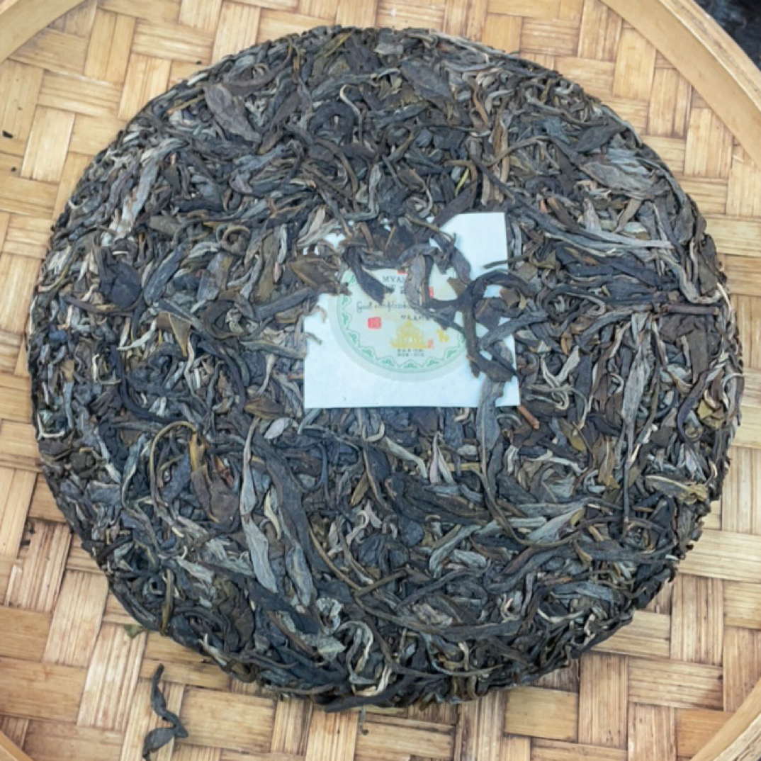 2024年 妙瓦底野生古树单株