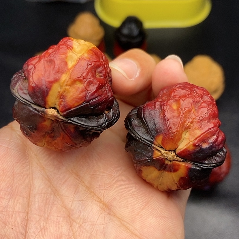 【闪购商品】把件文玩核桃37尺金刚鹦鹉