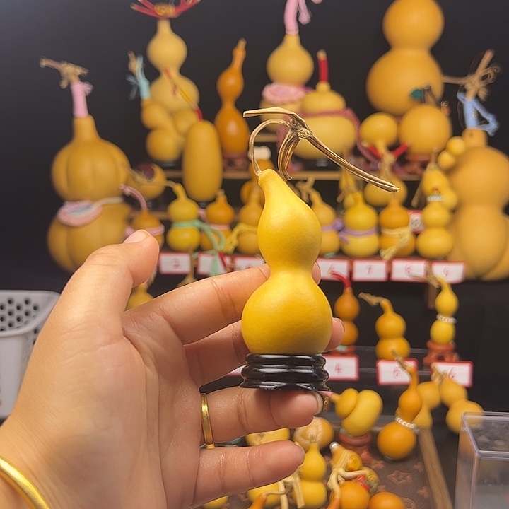 老孙11111111111111