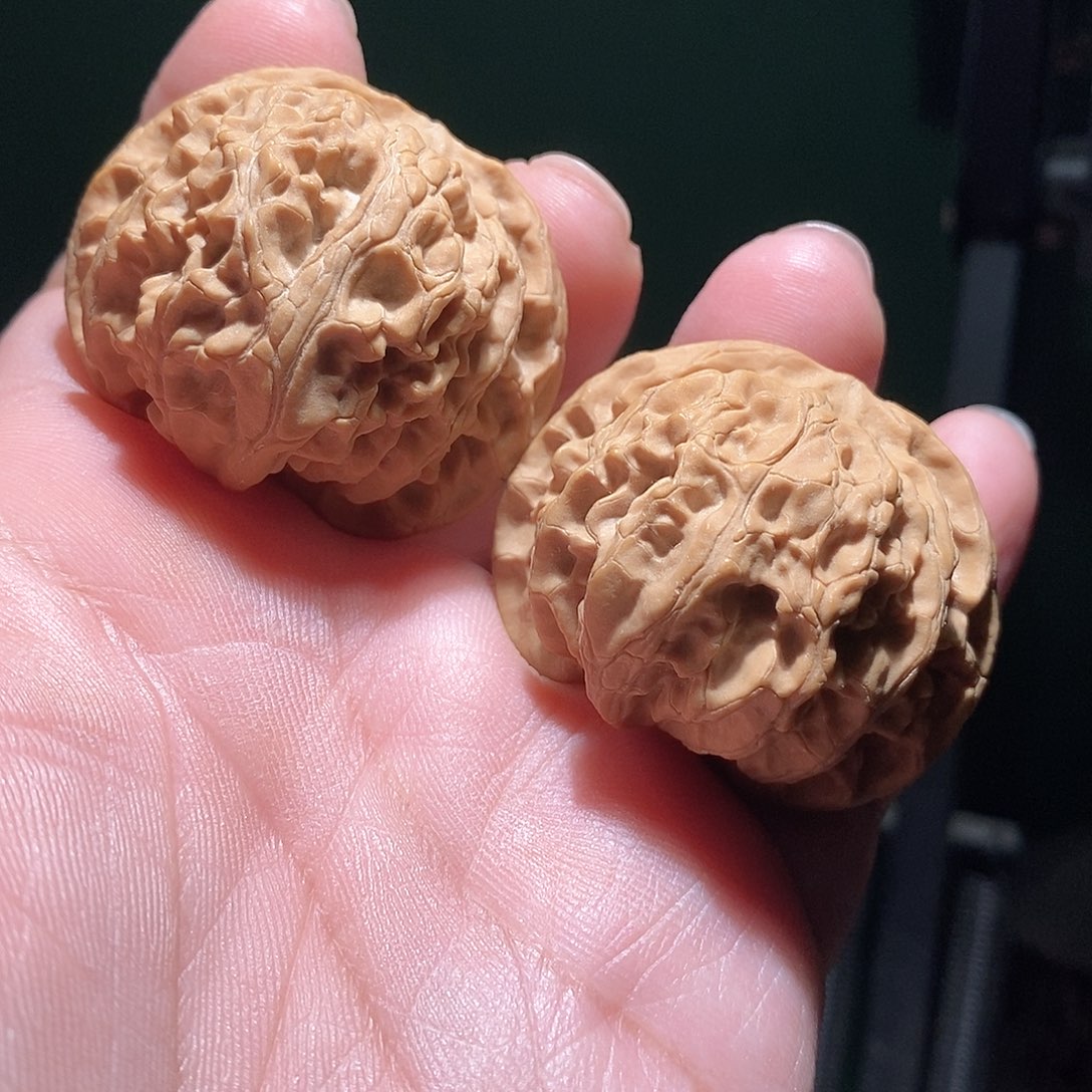 文玩核桃把件42.5苹果圆全品