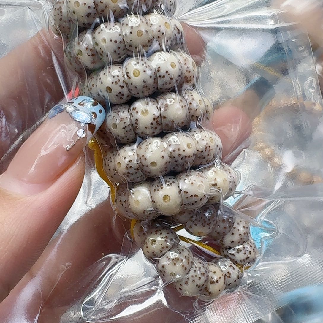 手串星月菩提211快乐星月菩提8