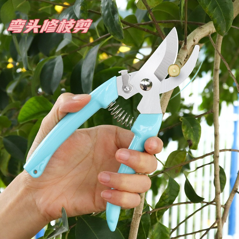 园艺剪刀省力修枝剪刀钢粗枝剪园艺木果树嫁接修花园林剪工具