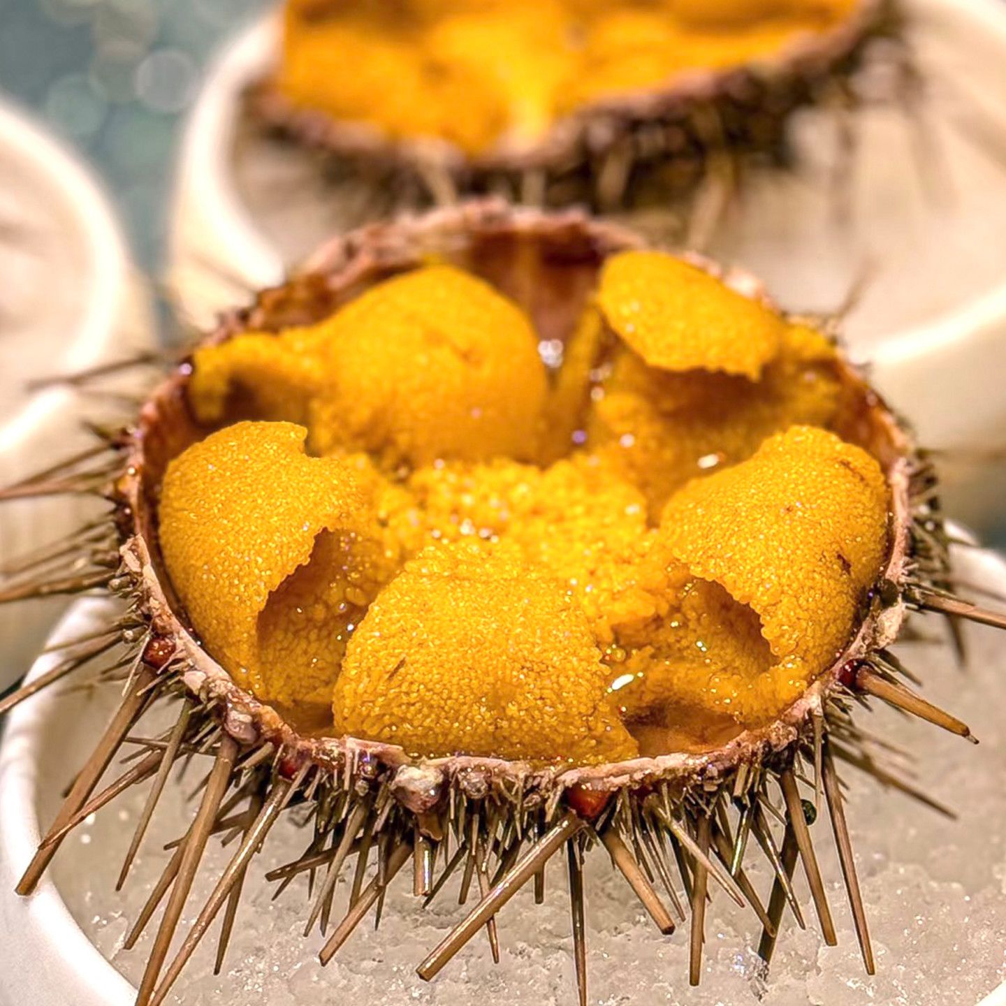 海胆15元/个（需要处理请备注）