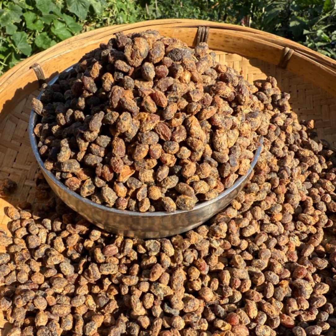 湖南湘西地方特产农家干豆豉